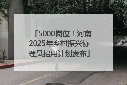 5000岗位！河南2025年乡村振兴协理员招用计划发布