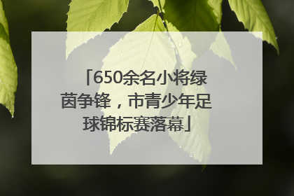 650余名小将绿茵争锋，市青少年足球锦标赛落幕