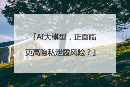 AI大模型，正面临更高隐私泄露风险？