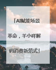AI赋能场景革命，羊小咩解码消费新范式