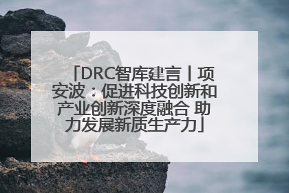 DRC智库建言丨项安波：促进科技创新和产业创新深度融合 助力发展新质生产力