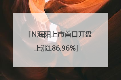 N海阳上市首日开盘上涨186.96%