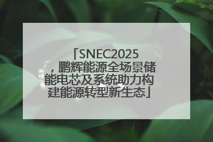 SNEC2025，鹏辉能源全场景储能电芯及系统助力构建能源转型新生态